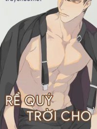 Rể Quý Trời Cho
